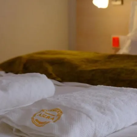 Asuka 飞鸟客 Apartmán *