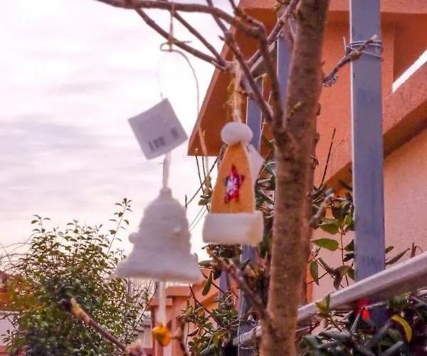 Asuka 飞鸟客 Surčin