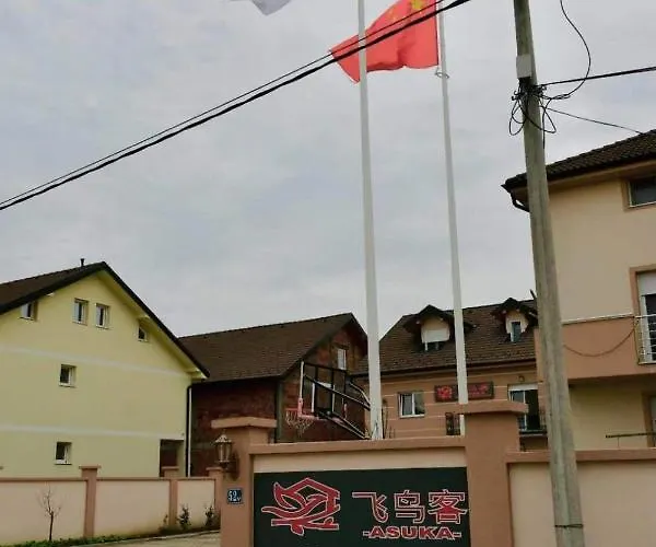 Asuka 飞鸟客 * Surčin