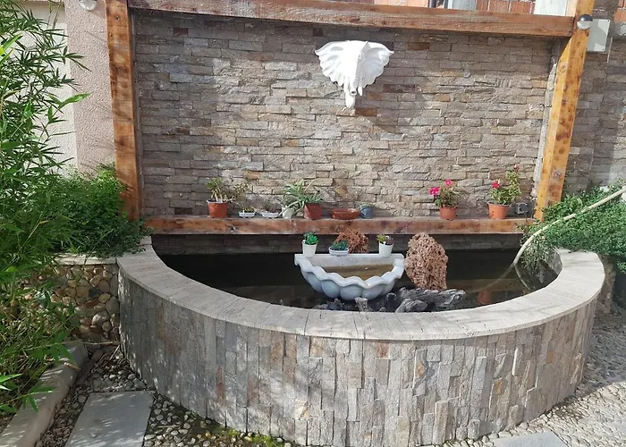 Asuka 飞鸟客 Surčin